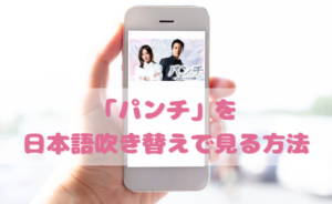 パンチを日本語吹き替えで見るなら？無料動画やDVDをチェック