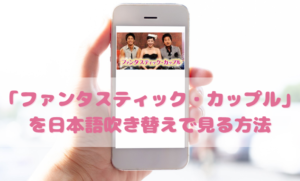ファンタスティックカップルを日本語吹き替えで見るなら？無料動画やDVDをチェック