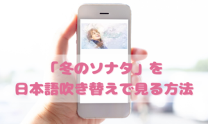冬のソナタを日本語吹き替えで見るなら？無料動画やDVDをチェック