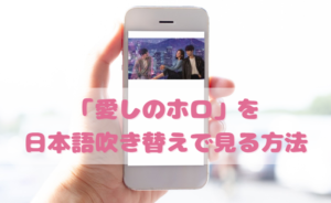 愛しのホロの日本語吹き替え動画の視聴方法！Netflix以外の無料動画やDVDもチェック