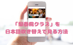 梨泰院クラスの日本語吹き替え動画の視聴方法！Netflix以外の無料動画やDVDもチェック